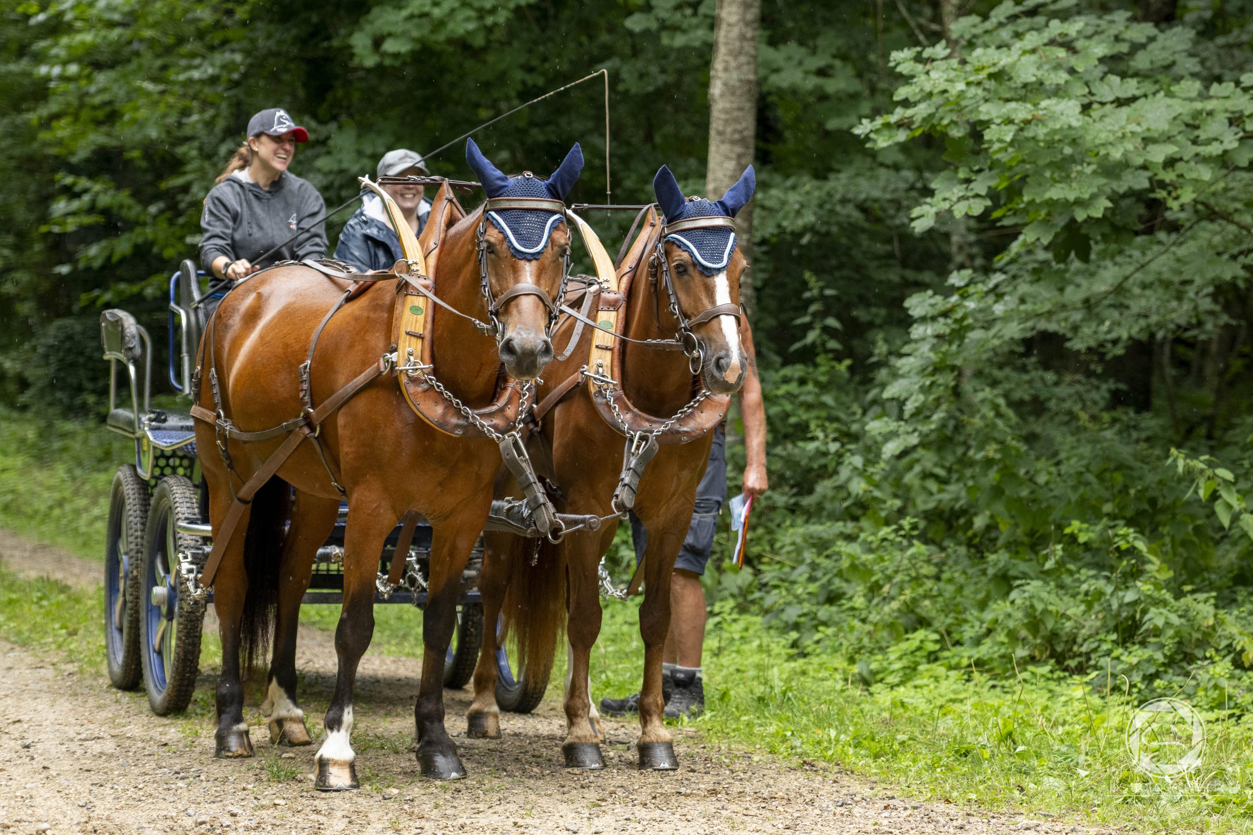 Pferdesporttage Gurmels