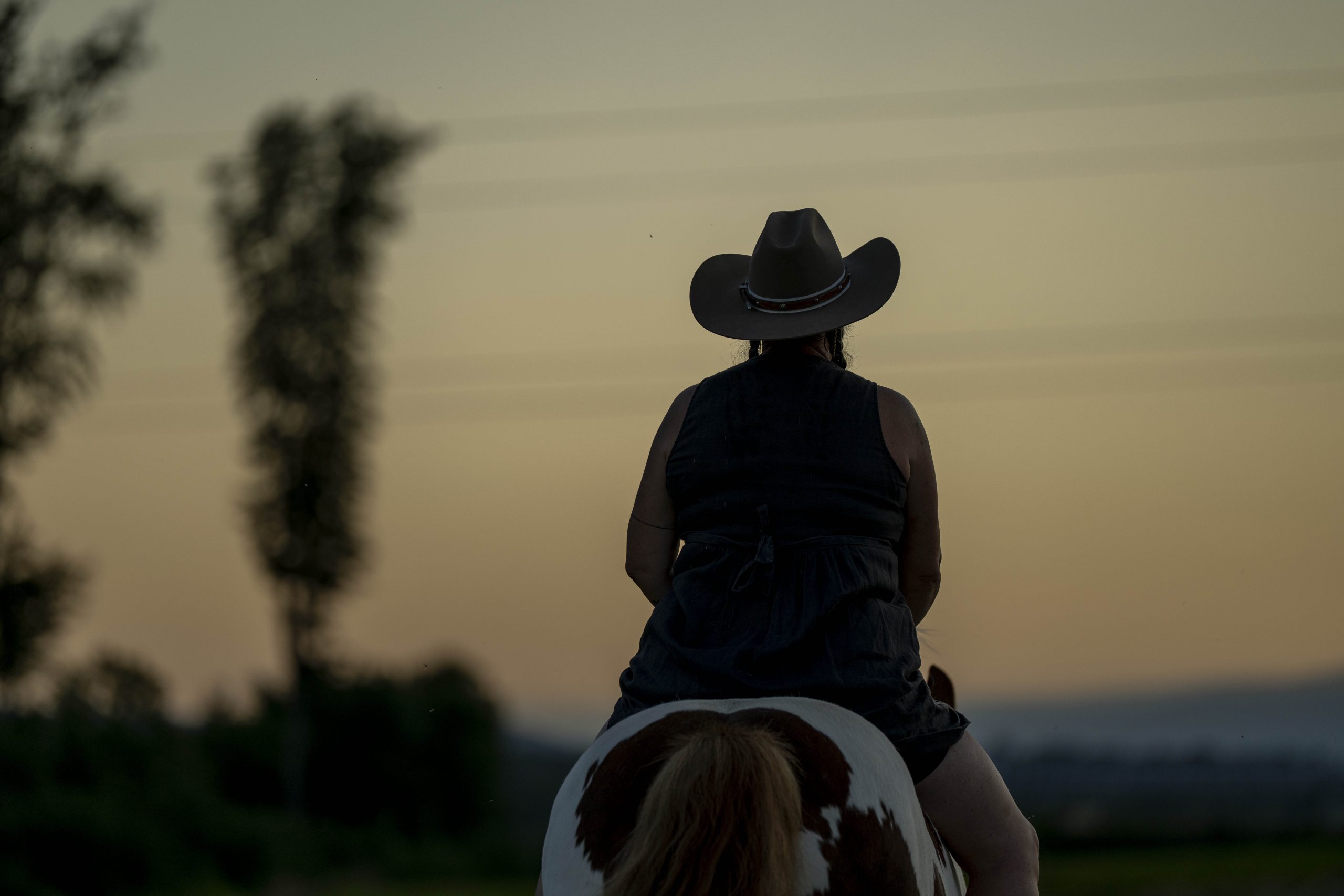 Fotoshooting mit dem wunderbaren Dexter