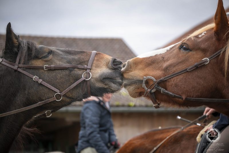A Kiss