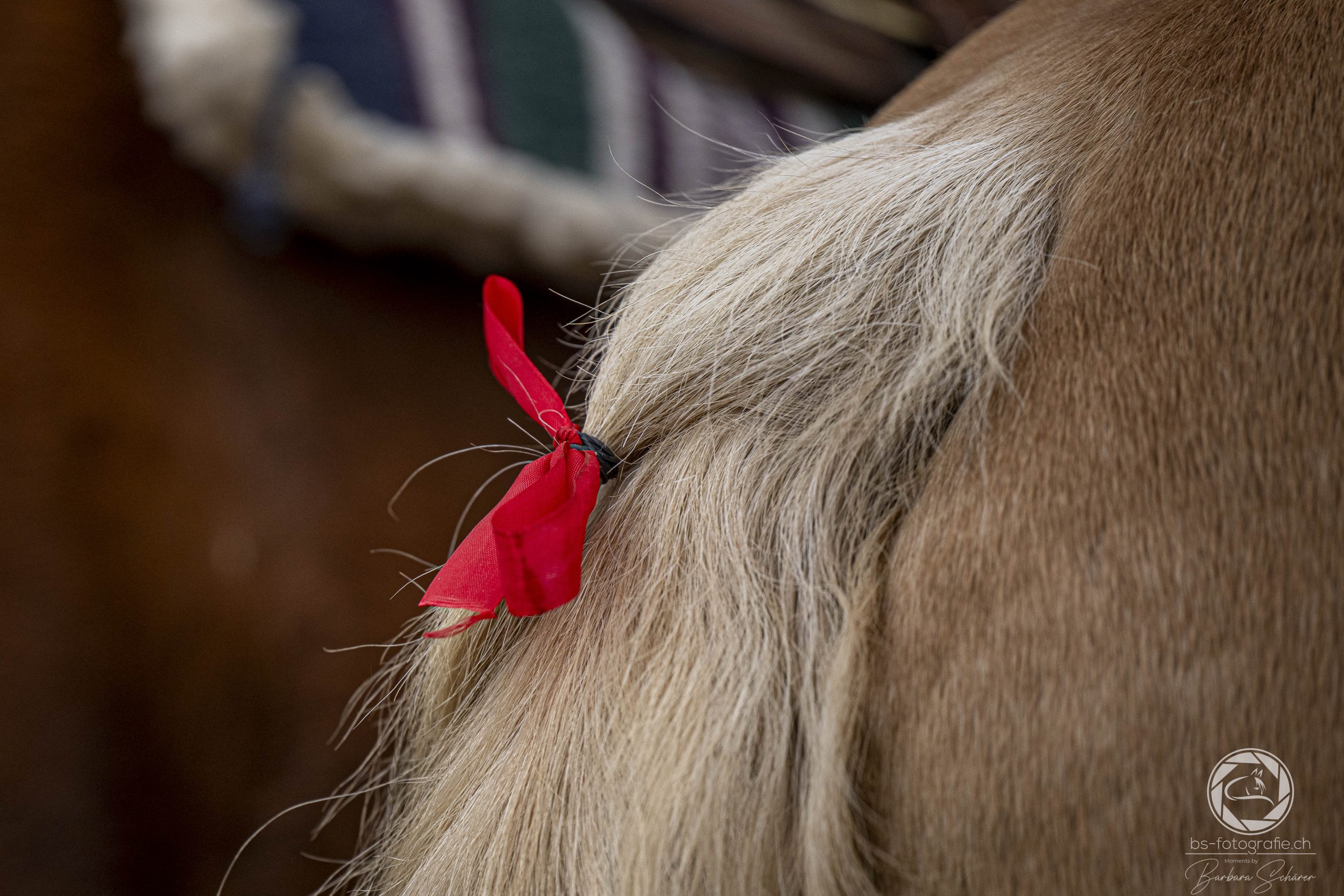 Patrouillenritt Reitverein Seftigen