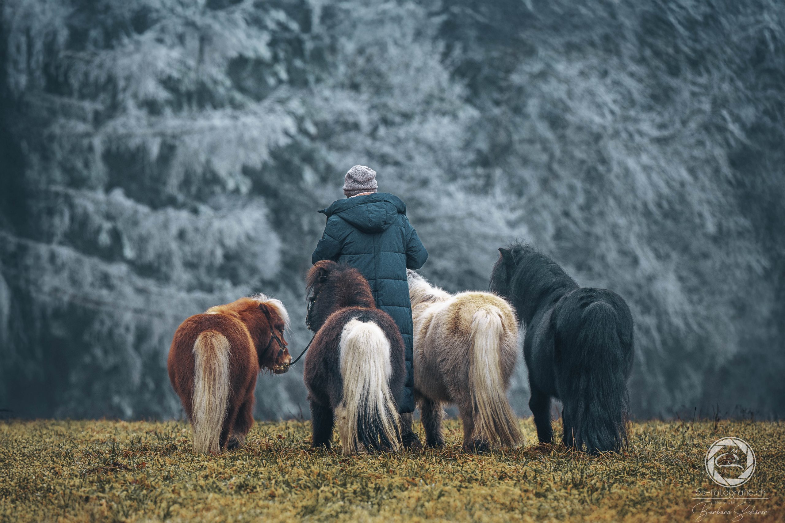 Ponyshooting mit Anick und ihren vier Jungs